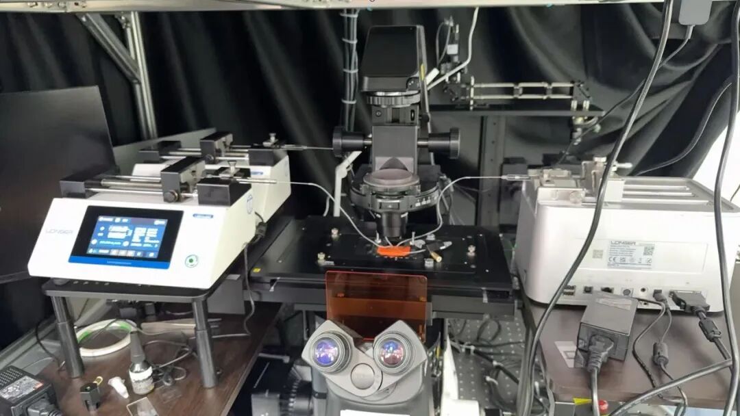 應用 | 蘭格注射泵在微流控系統中的核心應用