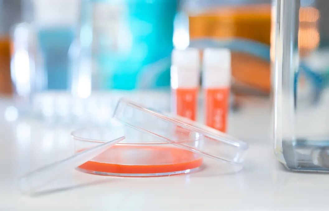 应用 | 从手动到智能：一份完整的实验室培养基分装升级指南