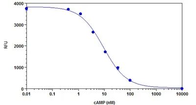 Sample Standard Curve for cAMP