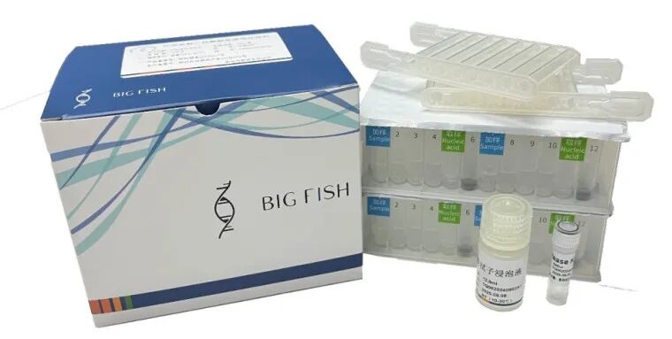 �ȸ�����ǻ���Ӷٱ��������Լ��У���ǻ�����ٱ�����ȡ��Ч֮ѡ