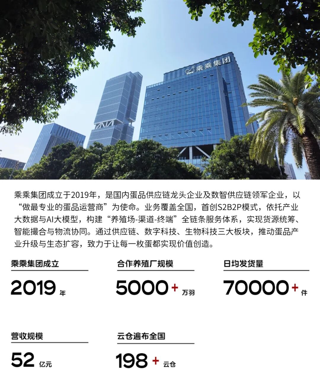 乘乘集团蛋产业包材服务招标公告_中物联装备委
