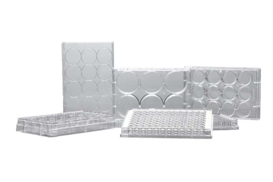 洁特生物细胞培养耗材大盘点！