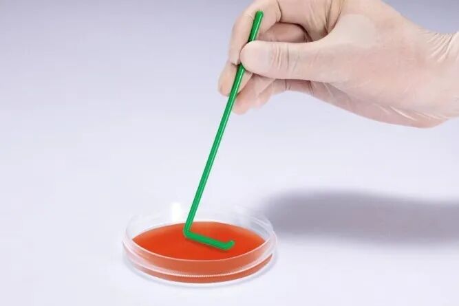 洁特生物细胞培养耗材大盘点！