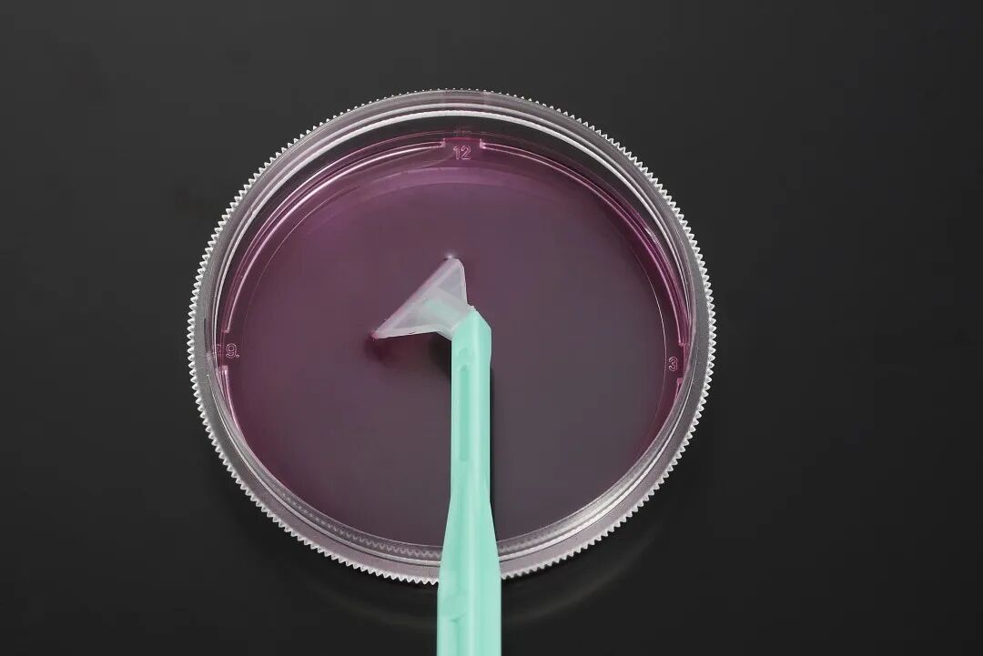 洁特生物细胞培养耗材大盘点！