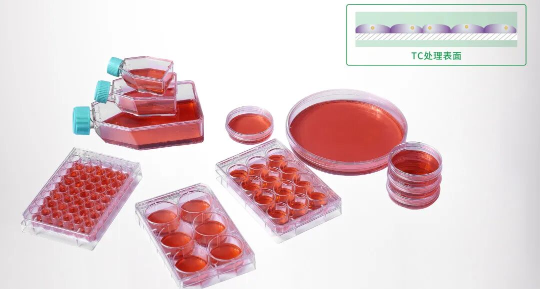 洁特生物细胞培养耗材大盘点！