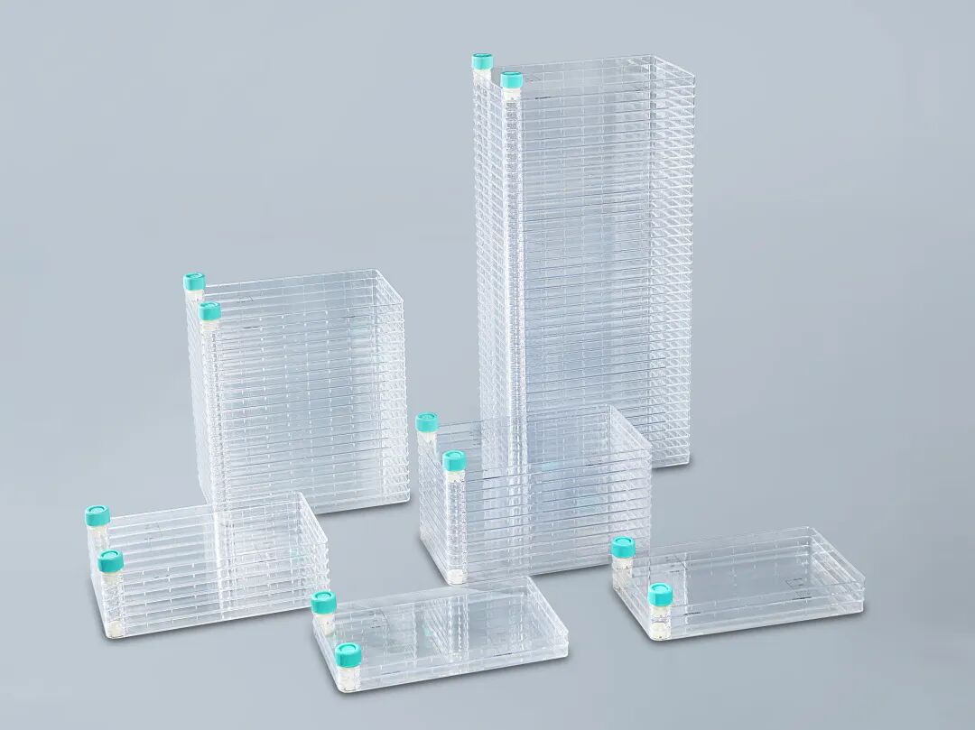 洁特生物细胞培养耗材大盘点！