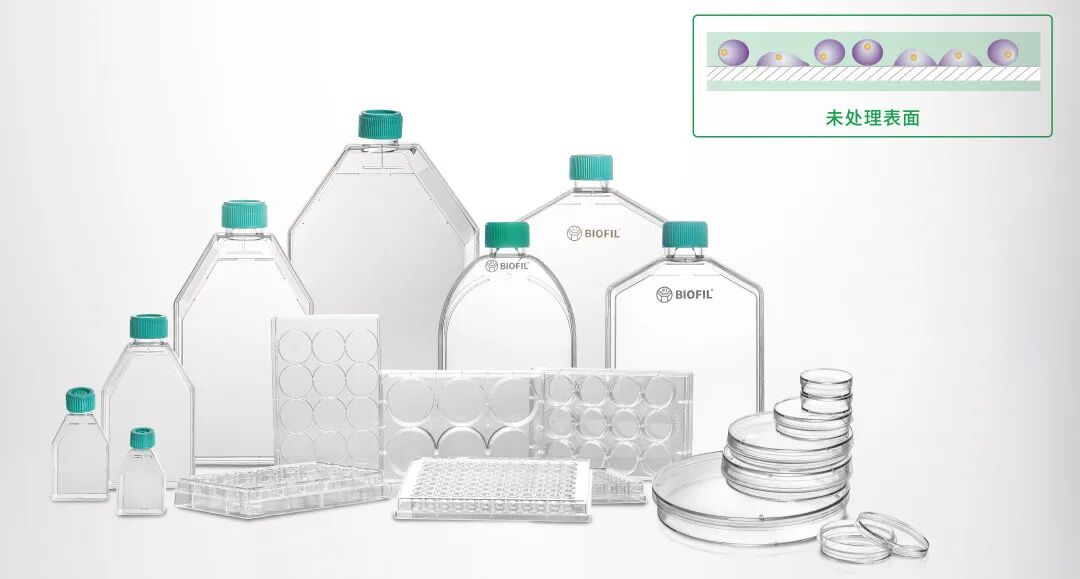 洁特生物细胞培养耗材大盘点！