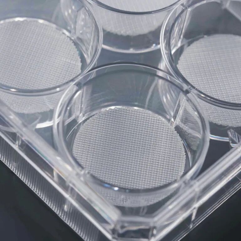 洁特生物细胞培养耗材大盘点！