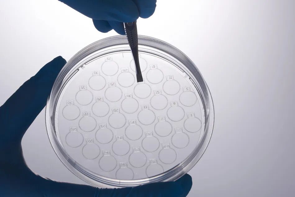 洁特生物细胞培养耗材大盘点！