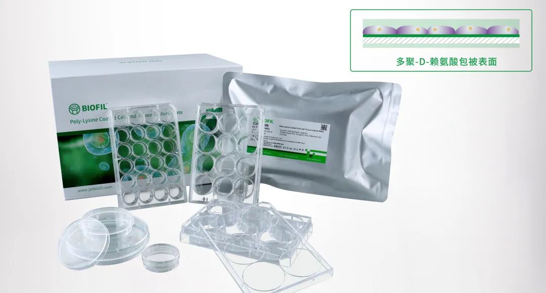 洁特生物细胞培养耗材大盘点！
