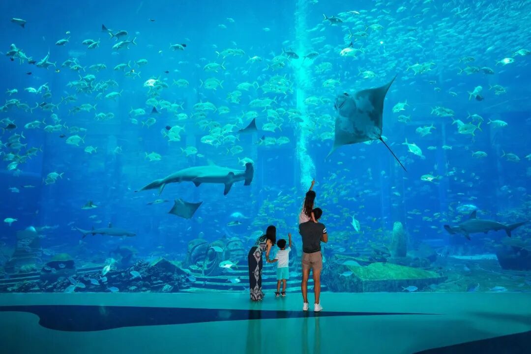 Sanya China Family-Friendly Tropical Escape Before Autumn