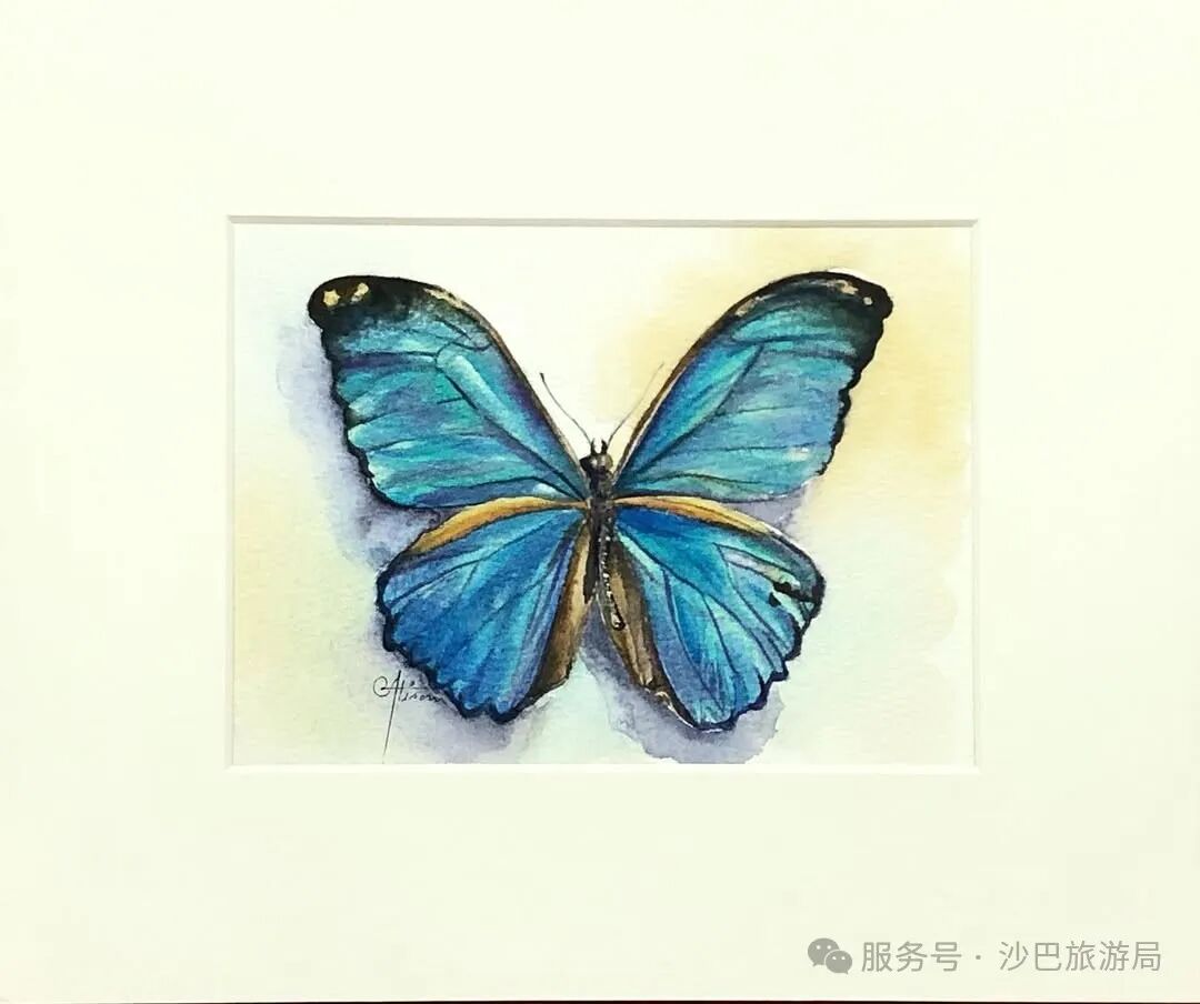 pikon免费游戏入口