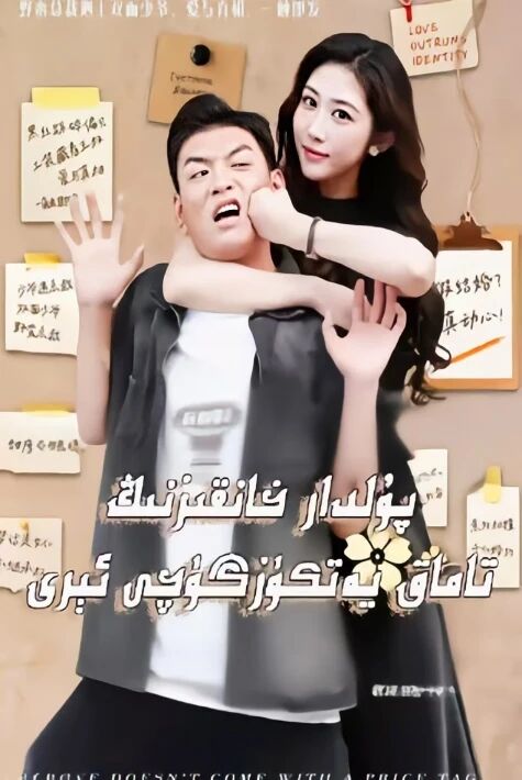 پۇلدار خانقىزنىڭ تاماق يەتكۈزگۈچى ئىرى