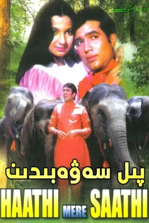 پىل سەۋەبىدىن 