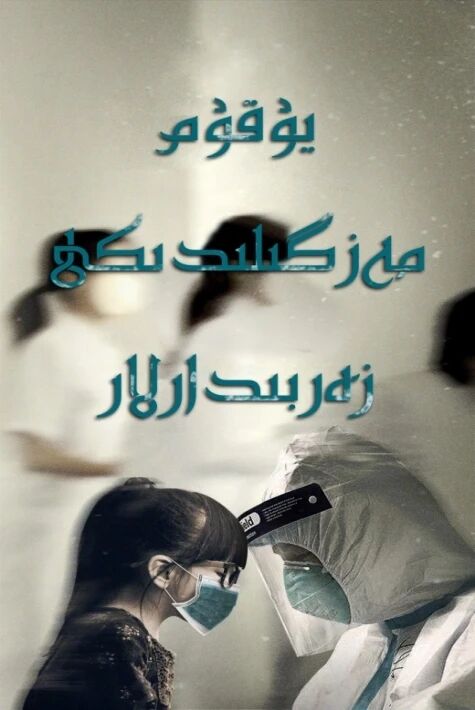 يۇقۇم مەزگىلىدىكى زەربىدارلا