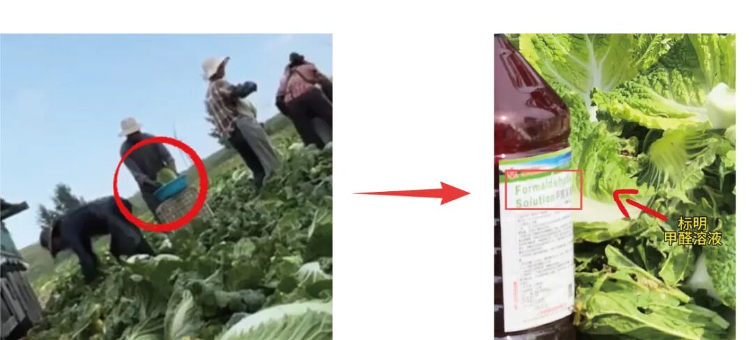 公众号配图.jpg