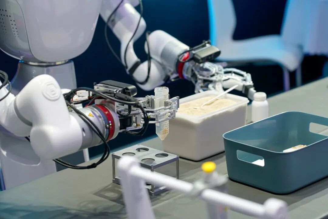 China's Humanoid Robot Bet ： Embodied AI & What Firms Should Do