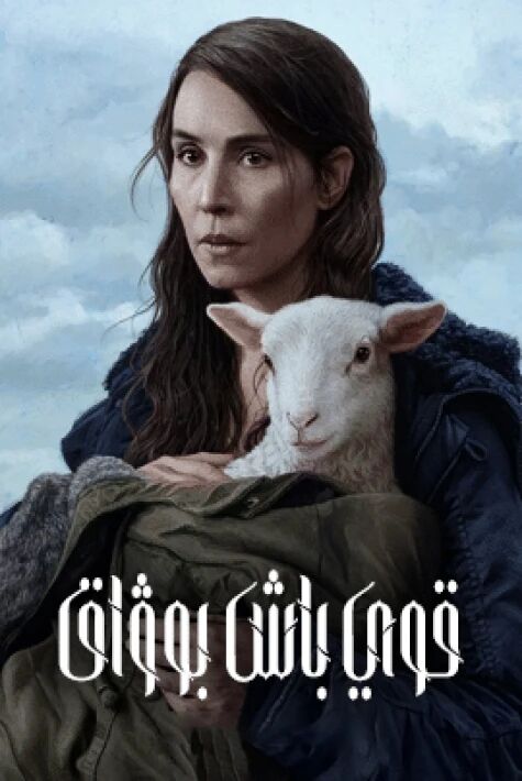 قوي باش بوۋاق