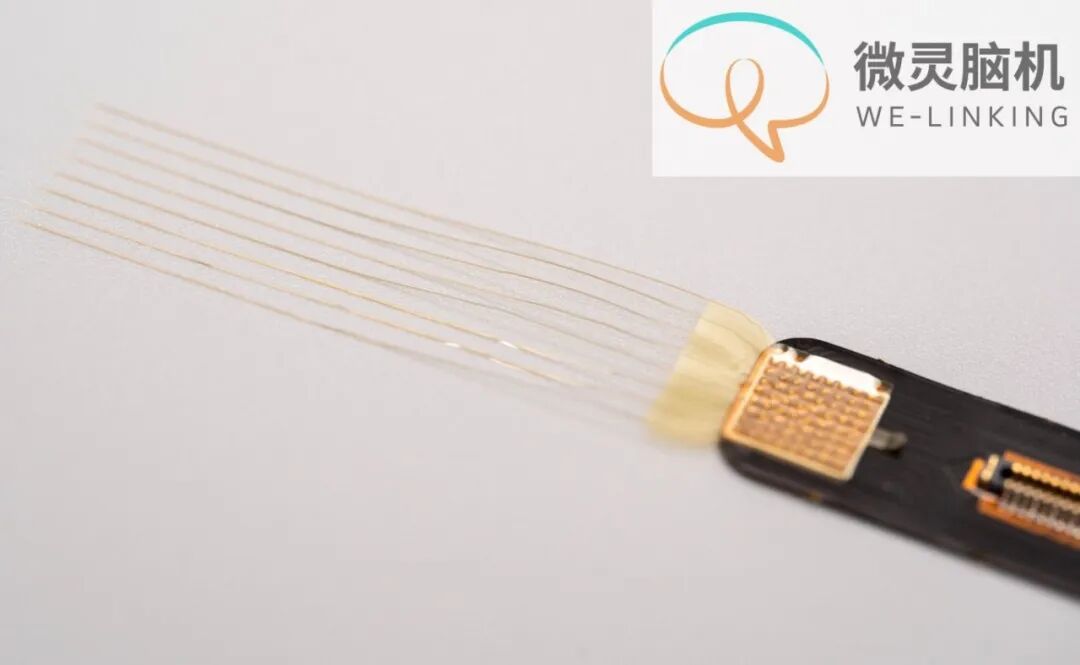 微灵电极 (1) (1).jpg