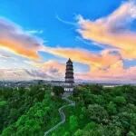 收藏界的王牌|梅江东甲，为何珍贵无双？