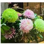 NEWS | 润元兴：『陈皮养生功·道法启健康——陈皮养生公
