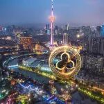 你好，成都！在这里，读懂陈皮！