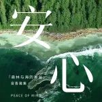 520「安心」“森林与海的邂逅”音香雅集