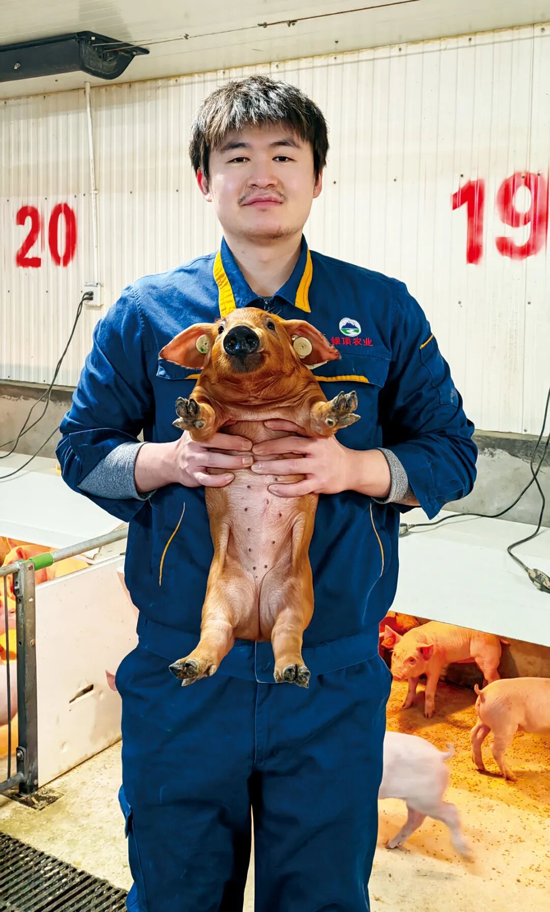 冯咨翔和小猪的合照是他短视频最常用的封面。图片／采访对象供图