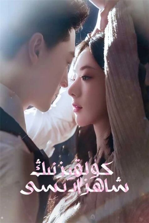 كۈلقىزنىڭ شاھزادىسى