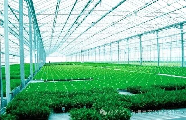 精准感知，智慧种植：探秘温室大棚环境监测传感器