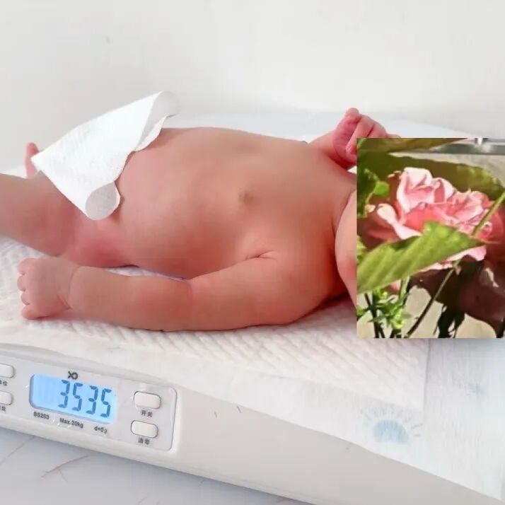 光疗箱报警怎么处理守护初生“晴空”——岳阳市长炼医院儿科开展新生儿黄疸护理业务查房_https://www.jmylbn.com_新闻资讯_第42张