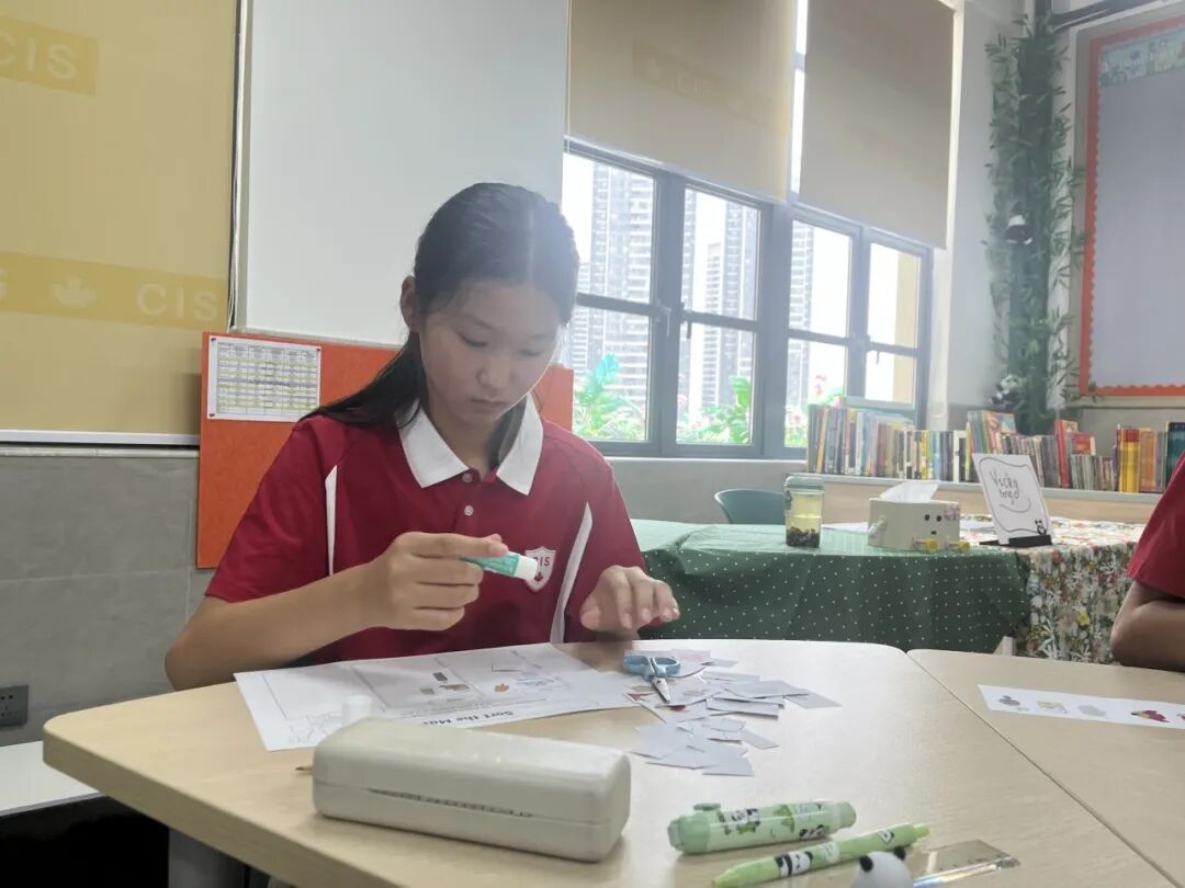 6ce6cae3181026930f82e60a7bf812bd