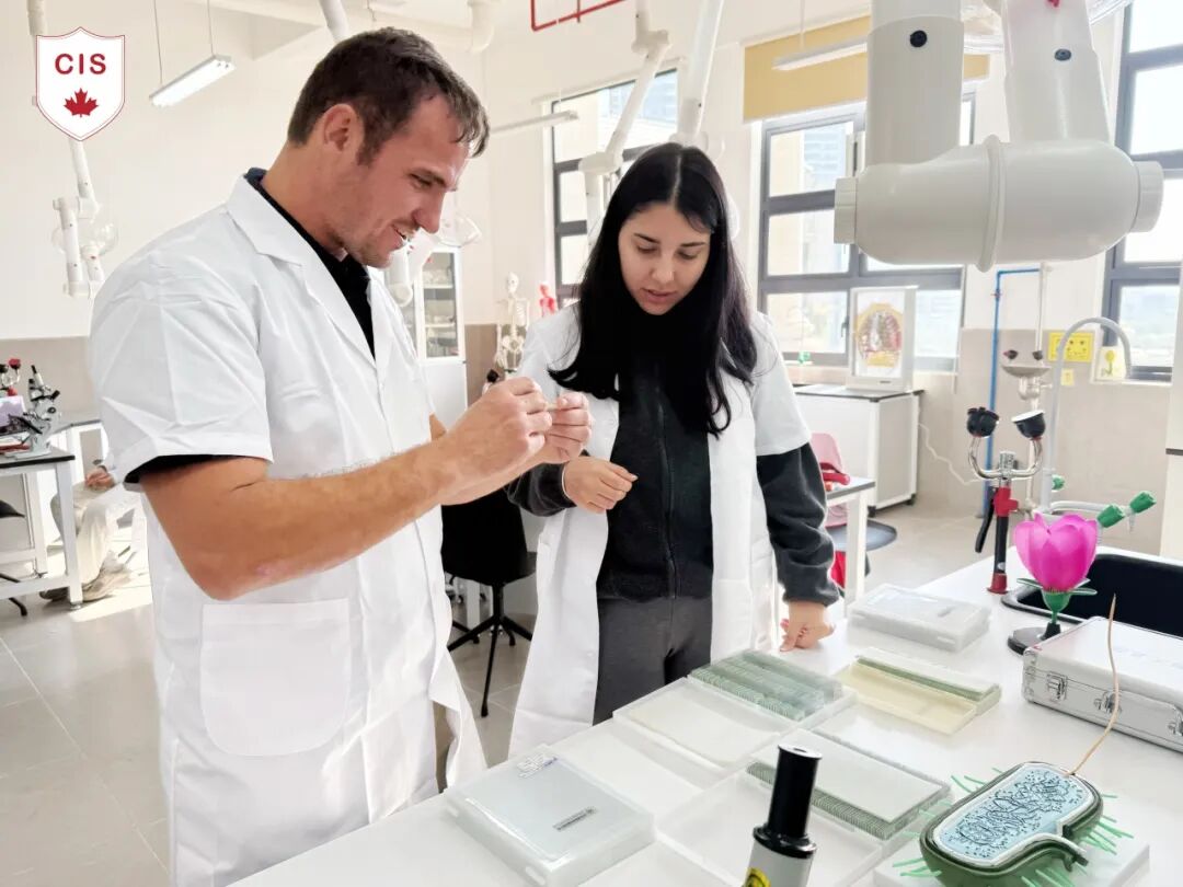 8c64a1a68892d2d99b0c7894fd86a94e-sz_2655320