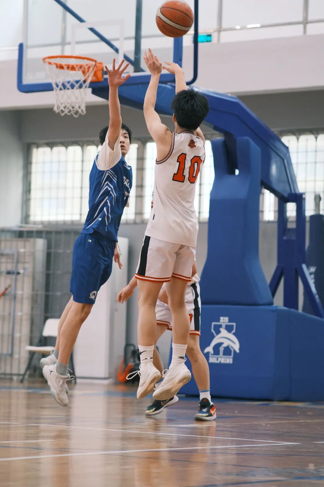 微信图片_2026-01-28_103355_856