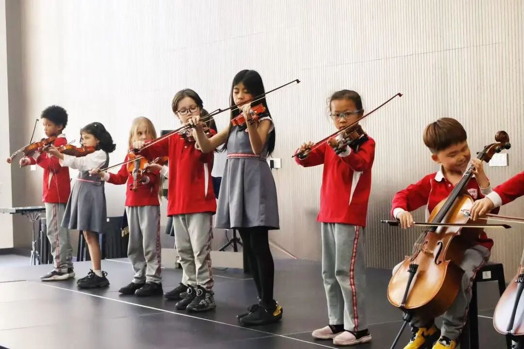 4f20b6ec220890b397d641888e6a7492