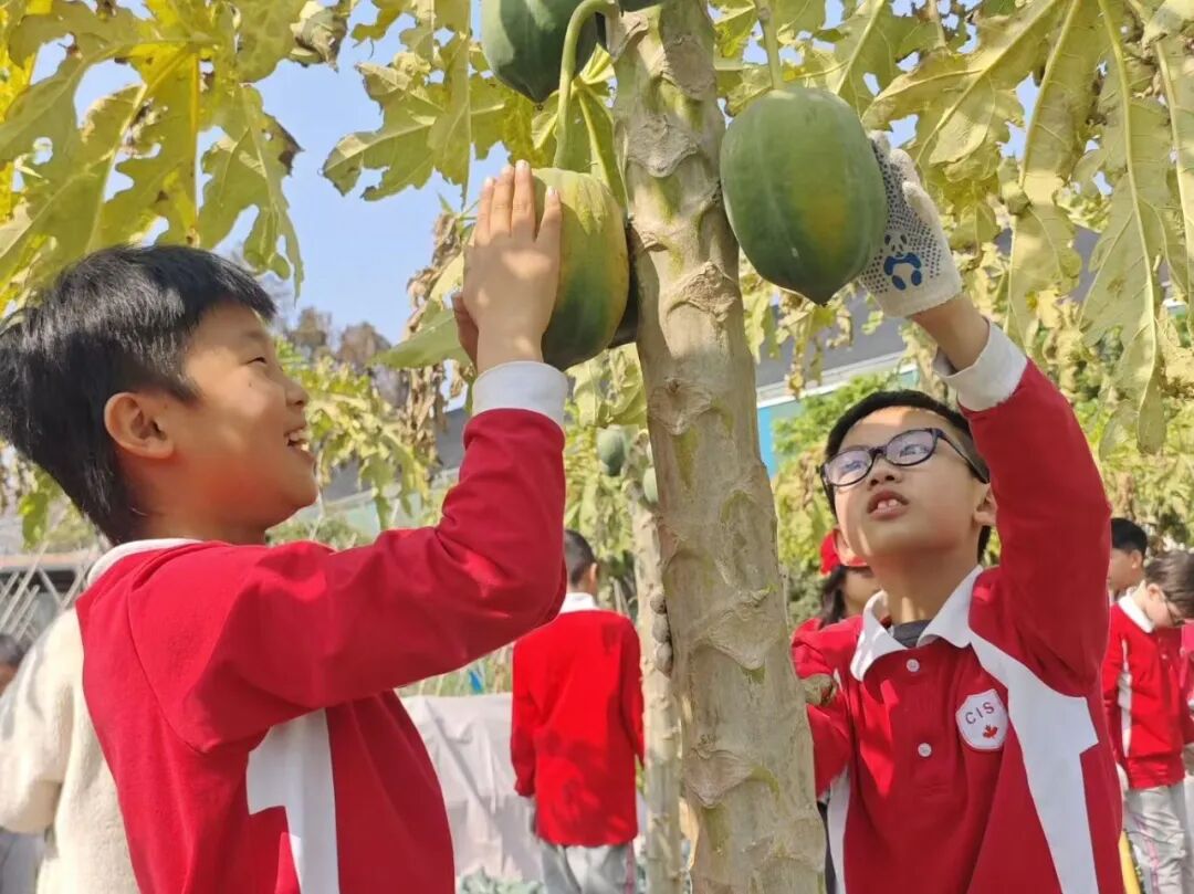 微信图片_2026-02-02_103025_820