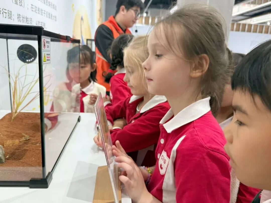 微信图片_2026-02-02_103015_704