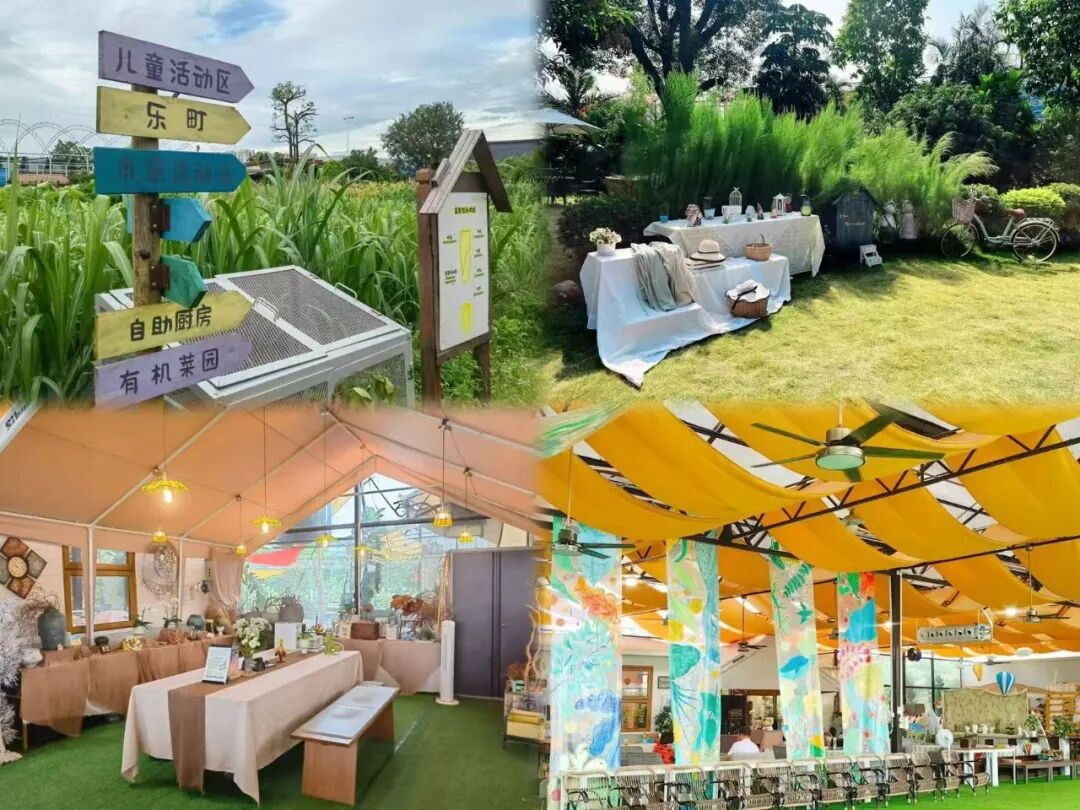 微信图片_2026-02-02_103005_285