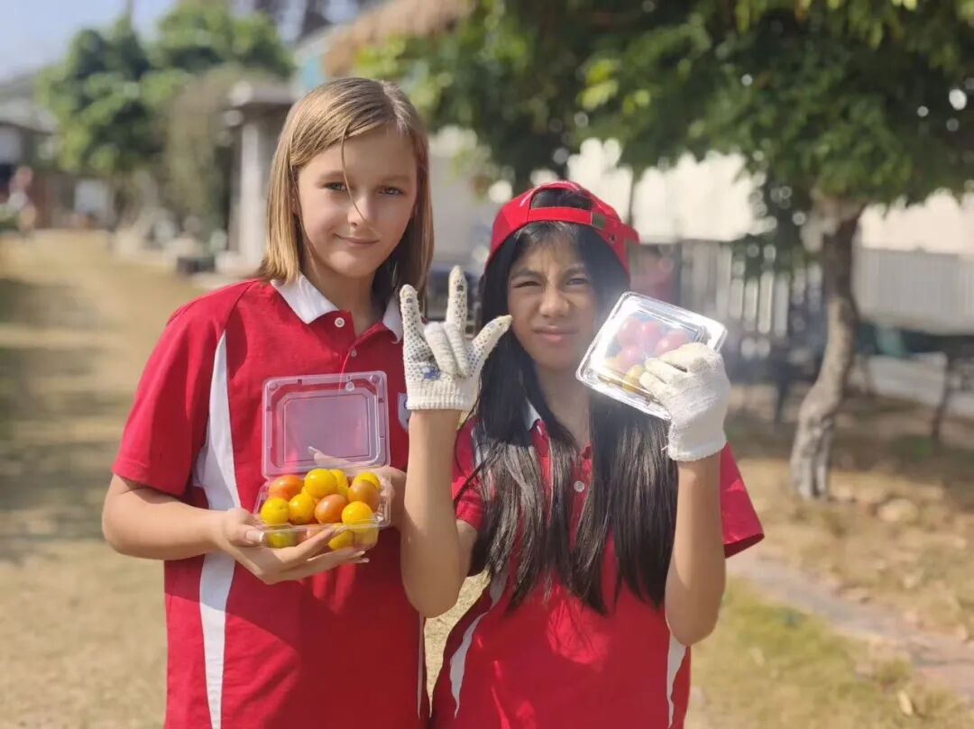 微信图片_2026-02-02_103029_417