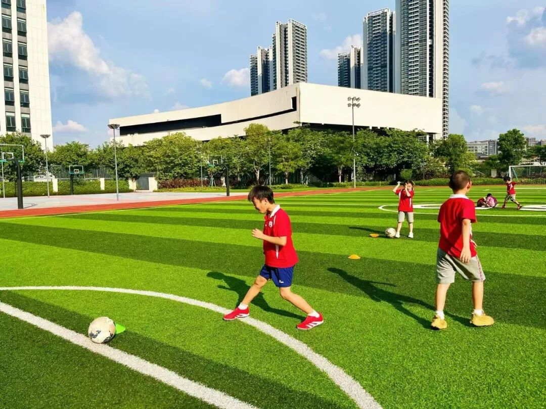 微信图片_20251017143746_2255_7