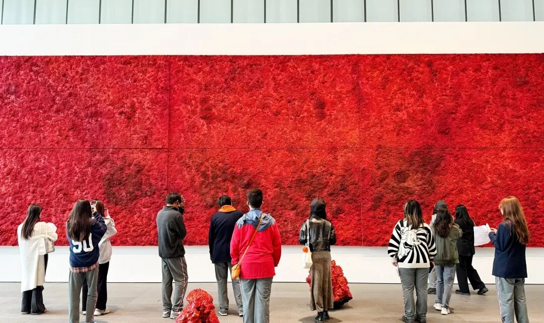 微信图片_20250317094312