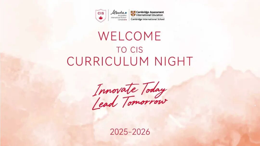 6b6dc63aa9911adecdae25e990db76e1