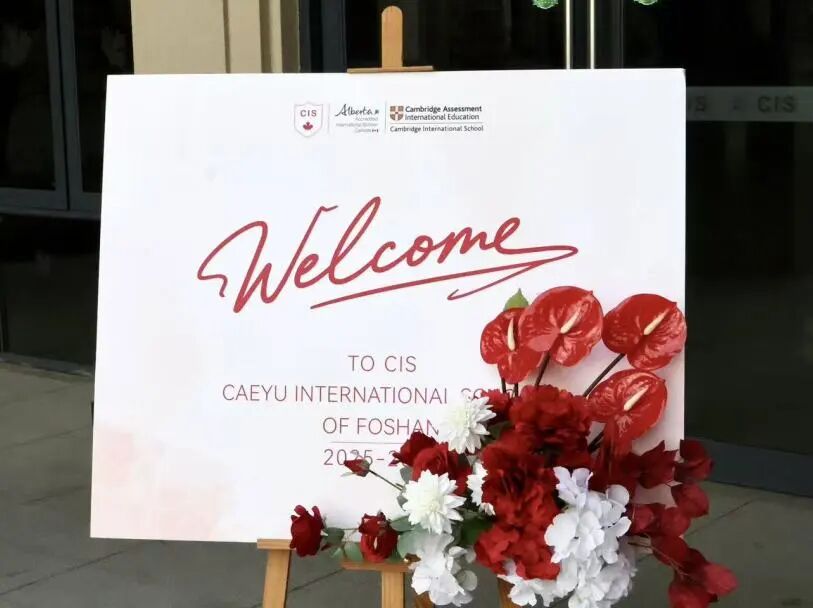 0c3bbaf6656f4374c1558a99f768d07f