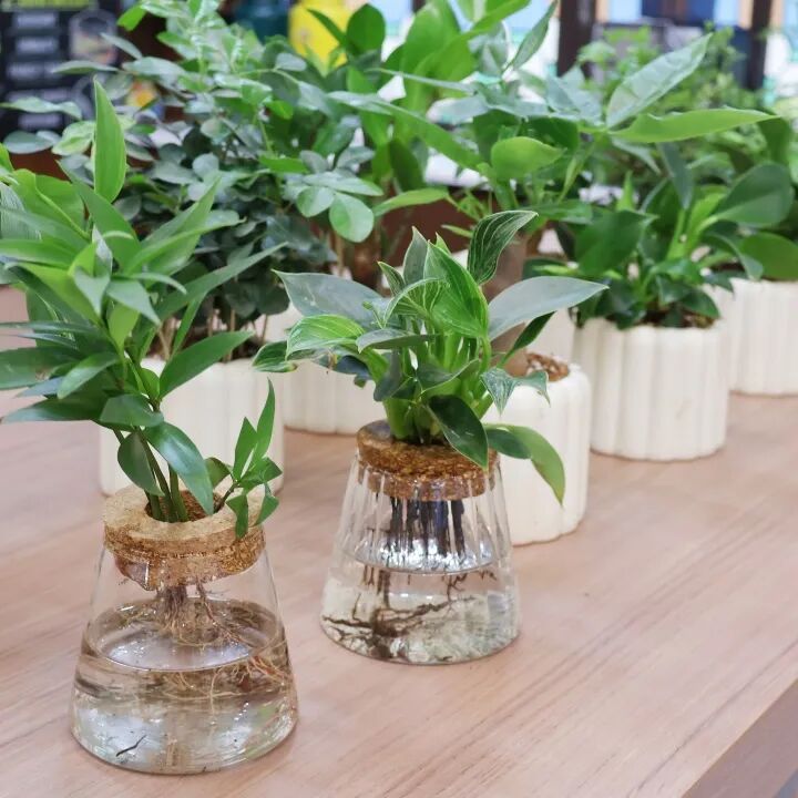 DM_20250526104550_008