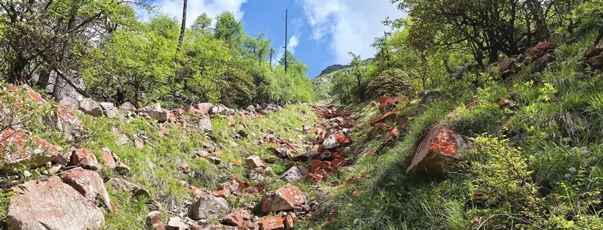 四川现一峡十瀑奇观