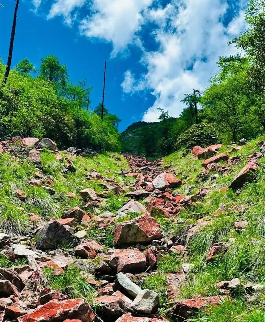 四川现一峡十瀑奇观