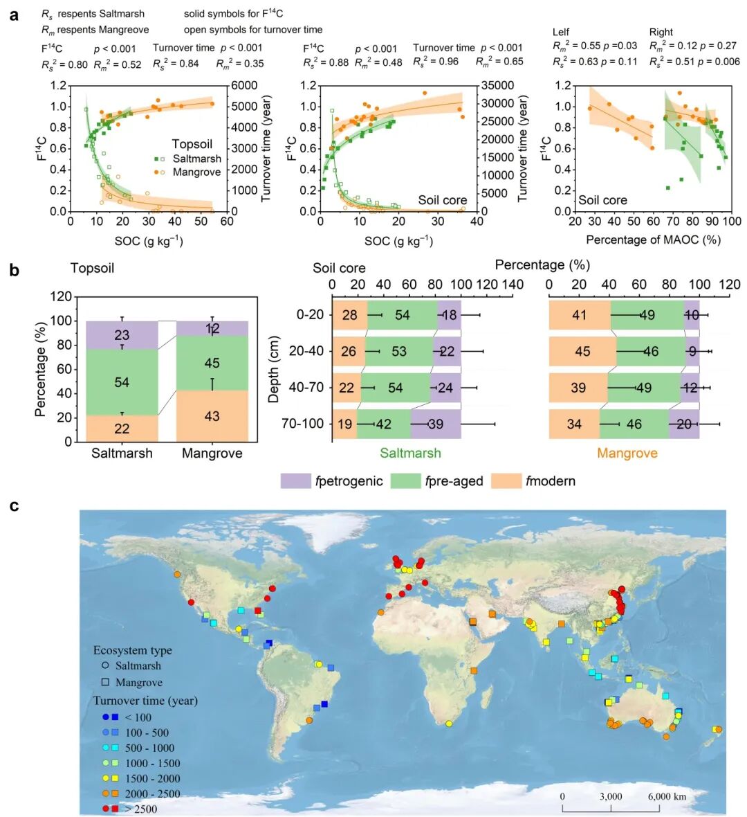 客户文章（GCB）| 矿物结合和微生物转化共同延长滨海湿地碳周转