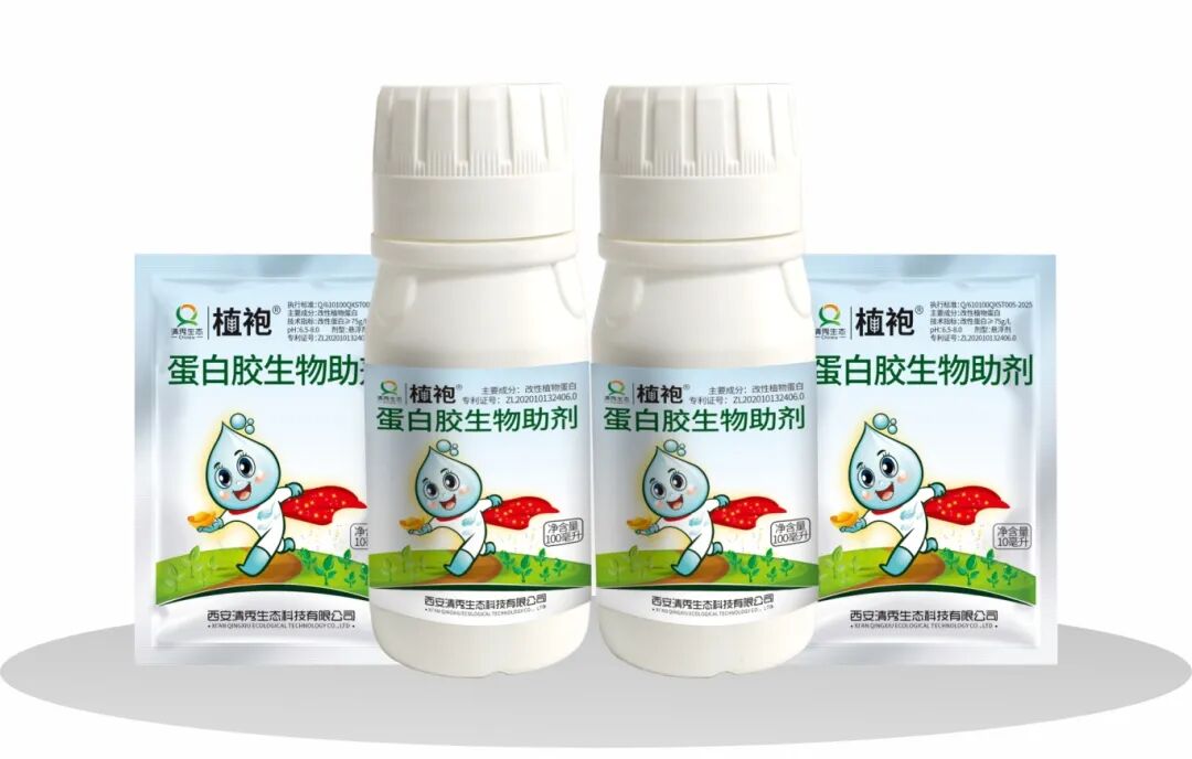 Backup_of_未命名 -1.jpg