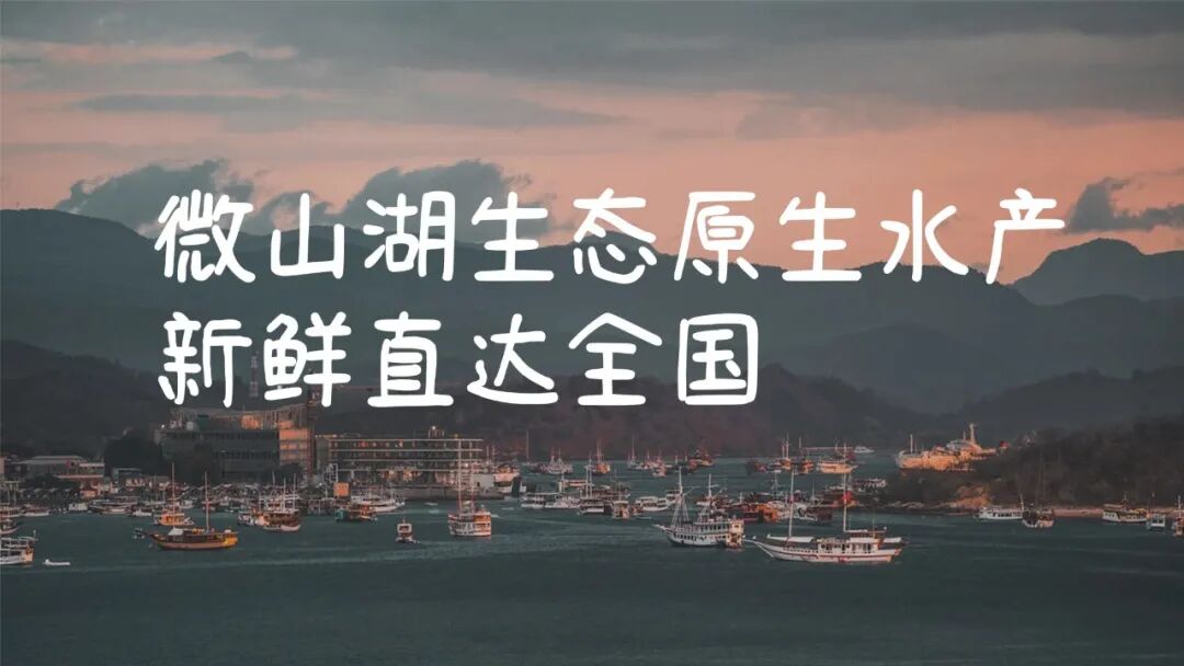 简约实景轻设计横版视频封面套装.jpg