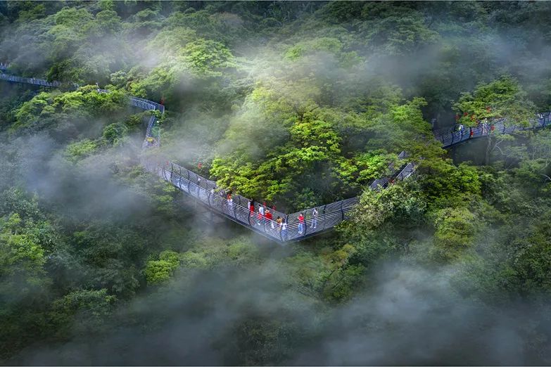 李健合肥演唱會首演《山中行》！靈感藏在海南百花嶺，跟著歌里的草木流水去打卡～